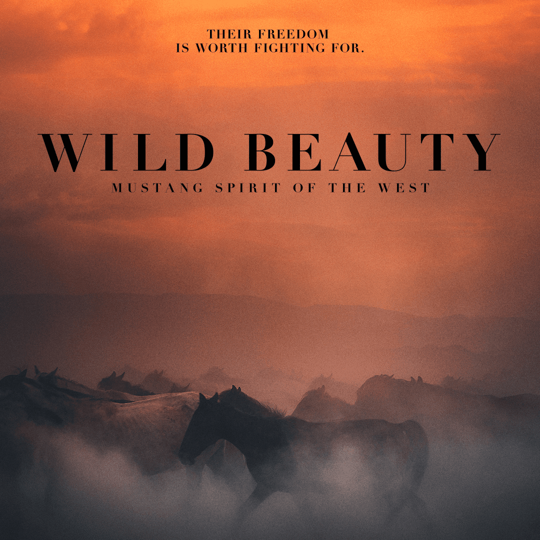 The Wild Beauty Foundation film icon.