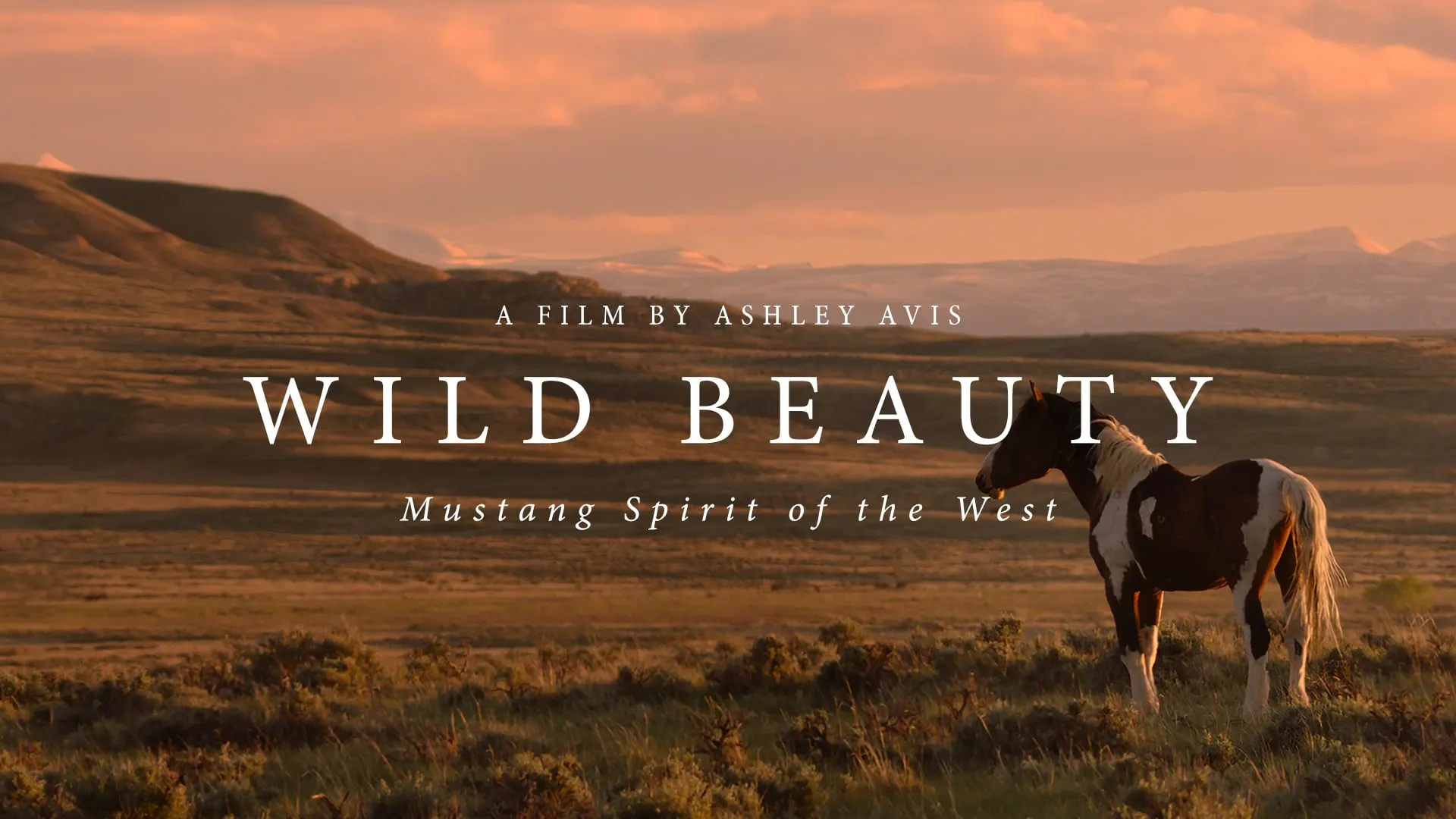 Wild Beauty: Mustang Spirit of the West trailer video thumbnail