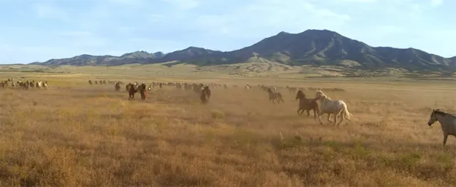 Screenshot from the Wild Beauty documentary.