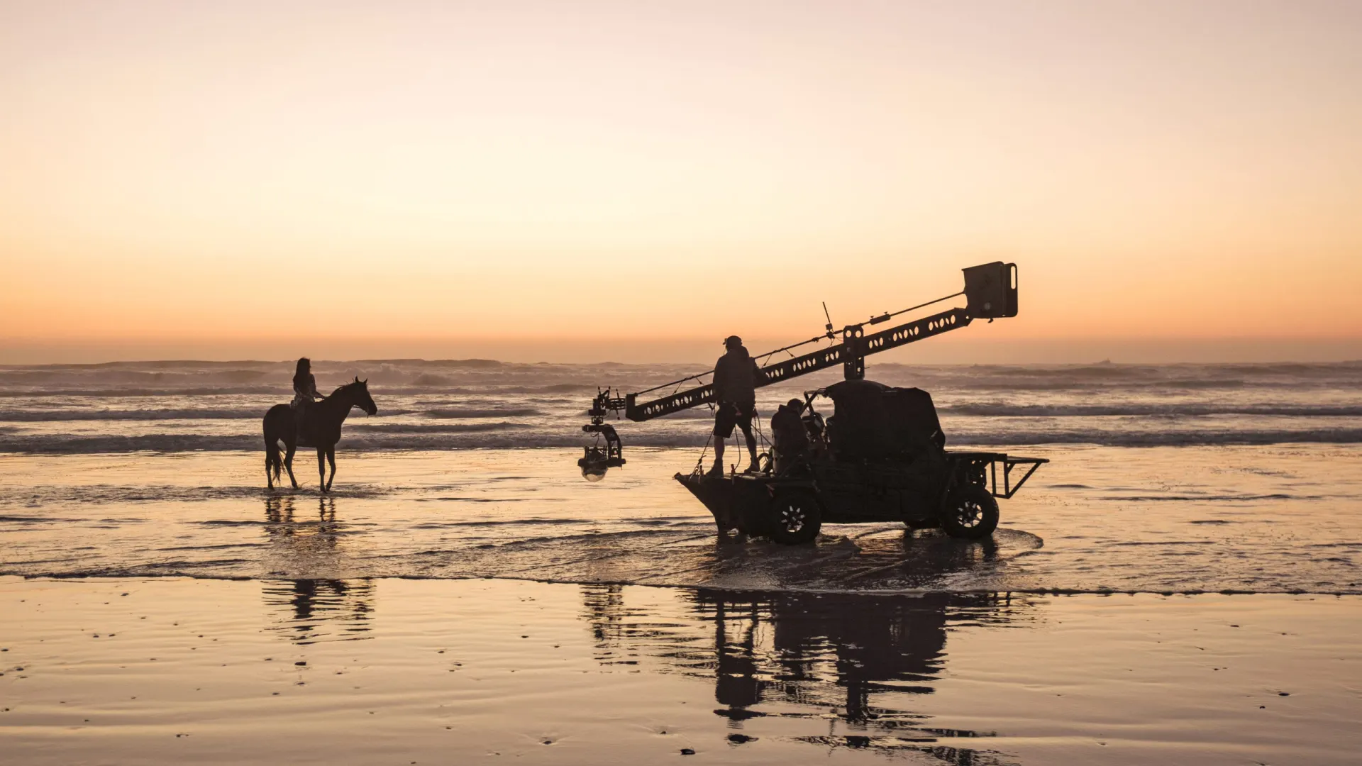 MACKENZIE FOY, DAVID PROCTOR (CINEMATOGRAPHER)
