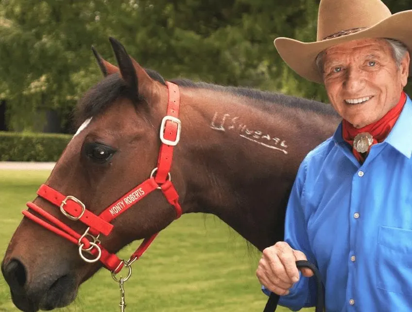 MontyRoberts_WildBeautyFoundation3