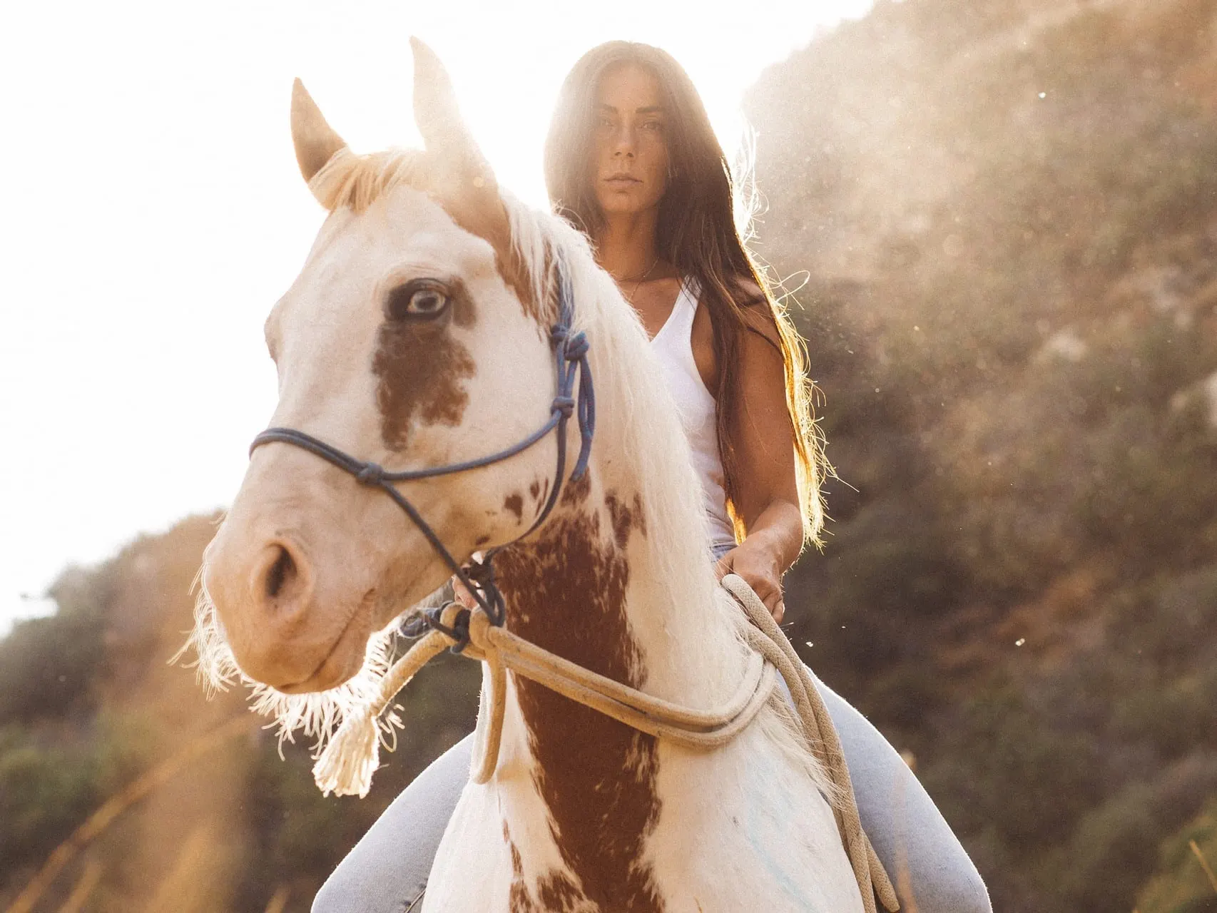 AlexSaidac_horsetrainer_mustangs_WildBeautyFoundation