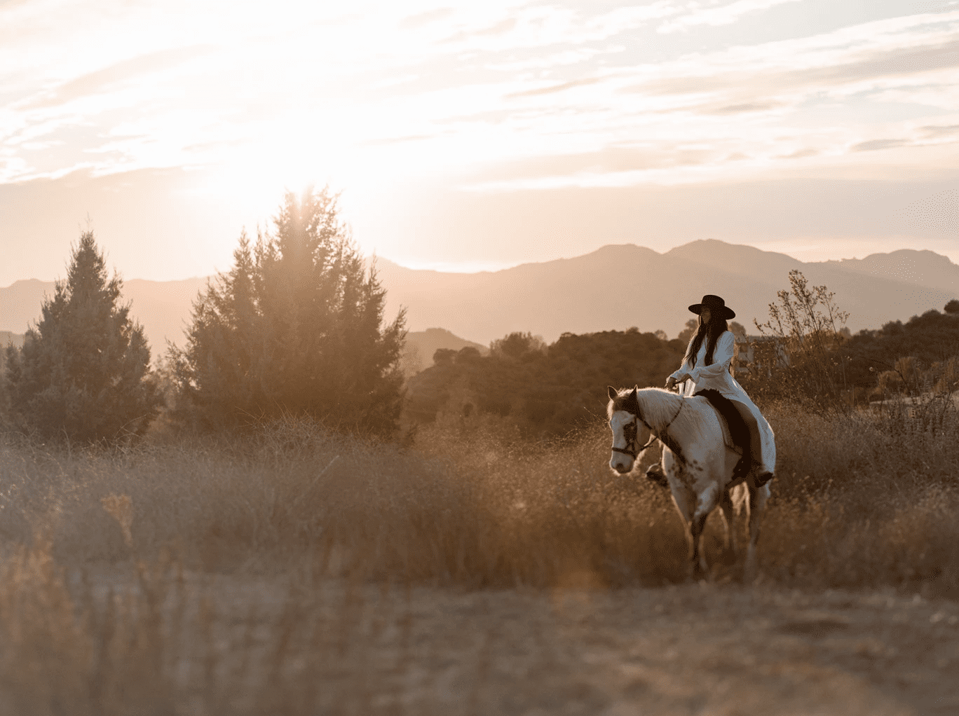 MUSTANGMINISERIES_ALEXSAIDAC_WildBeautyFoundation