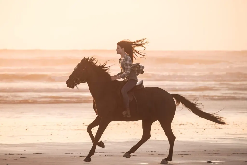 Black Beauty movie still