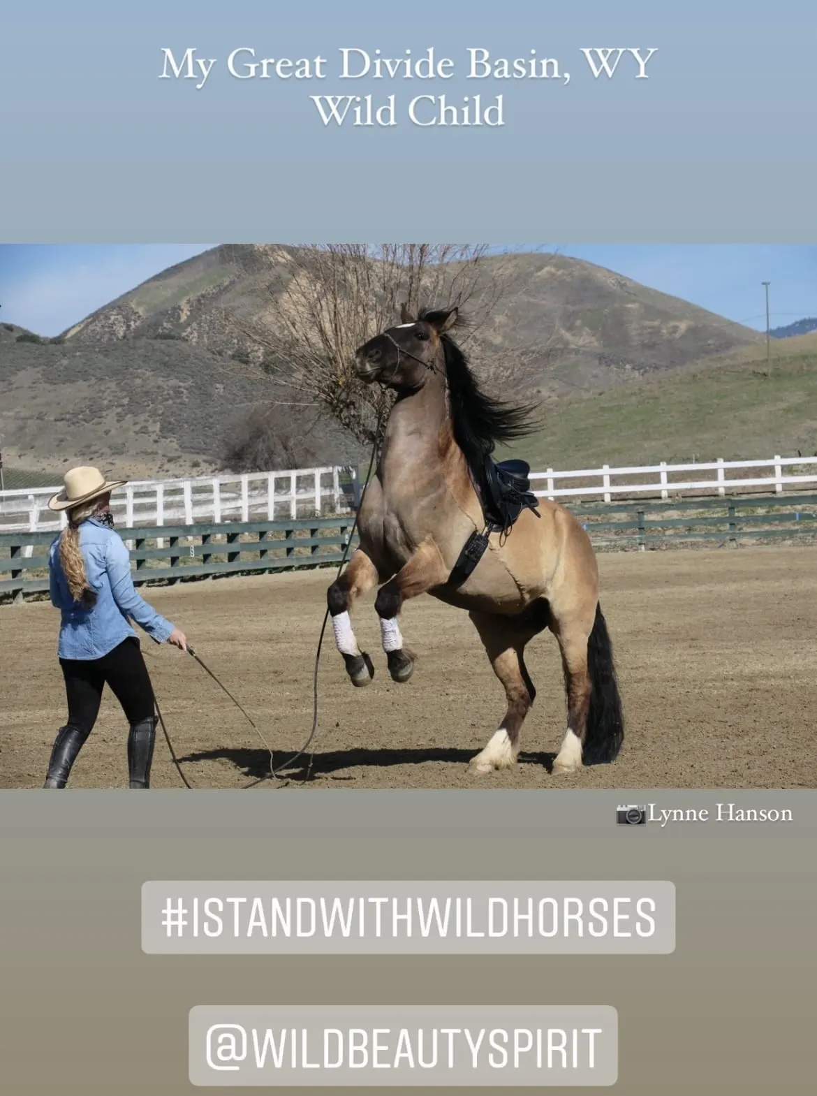 WBF_IStandWithWildHorses_KimerleeCuryl