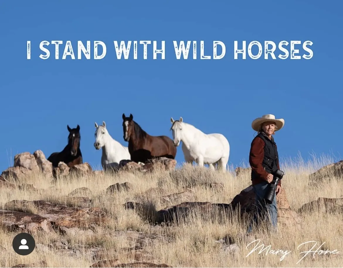 WBF_IStandWithWildHorses_14