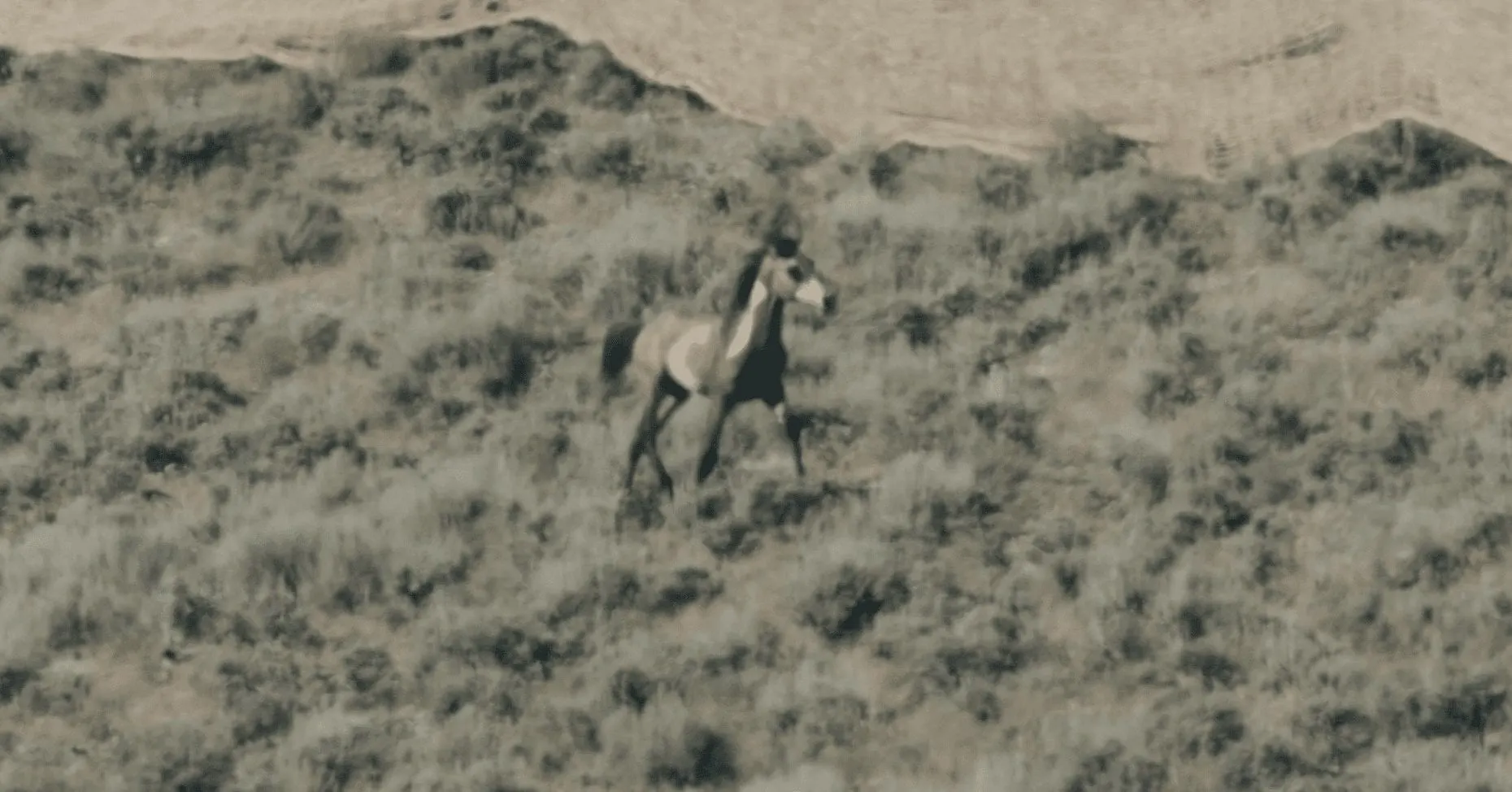 Zion_roundup