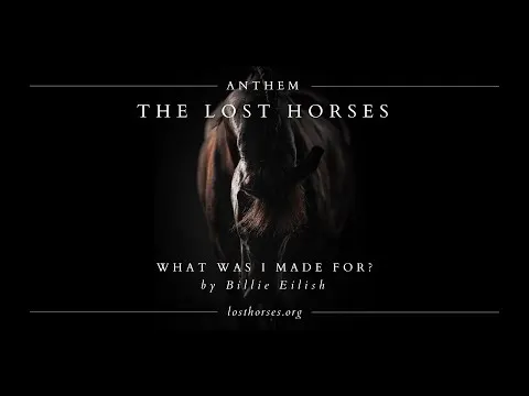 Video video thumbnail