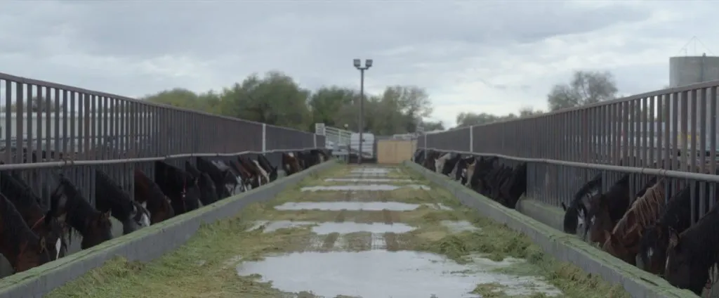 A Still of the Delta Holding Facility from Wild Beauty