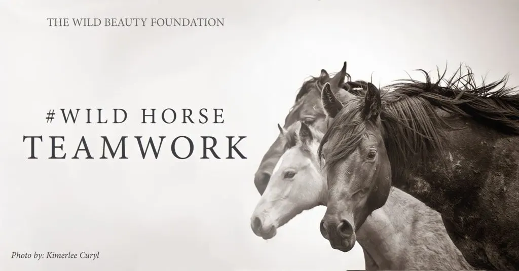#WildHorseTeamwork