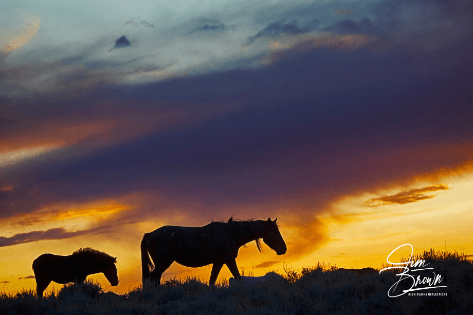 Dark SunSet by Jim Brown