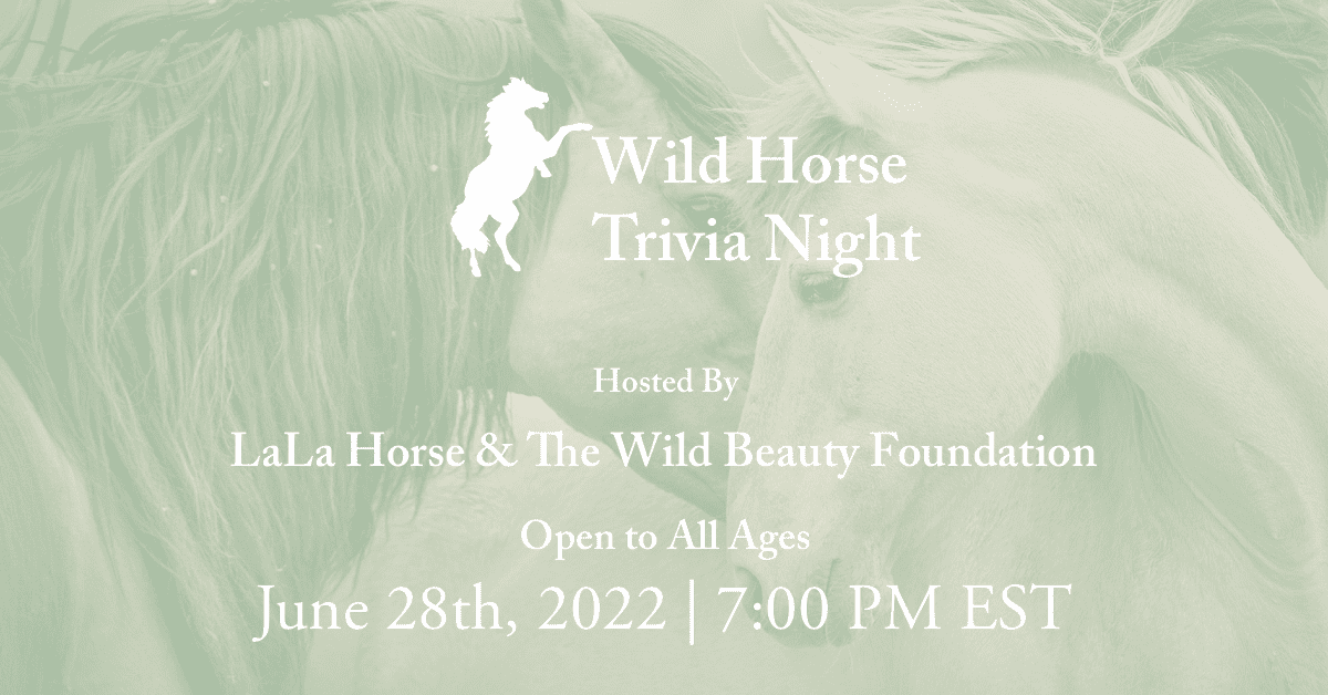 Wild Horse Trivia Night Graphic