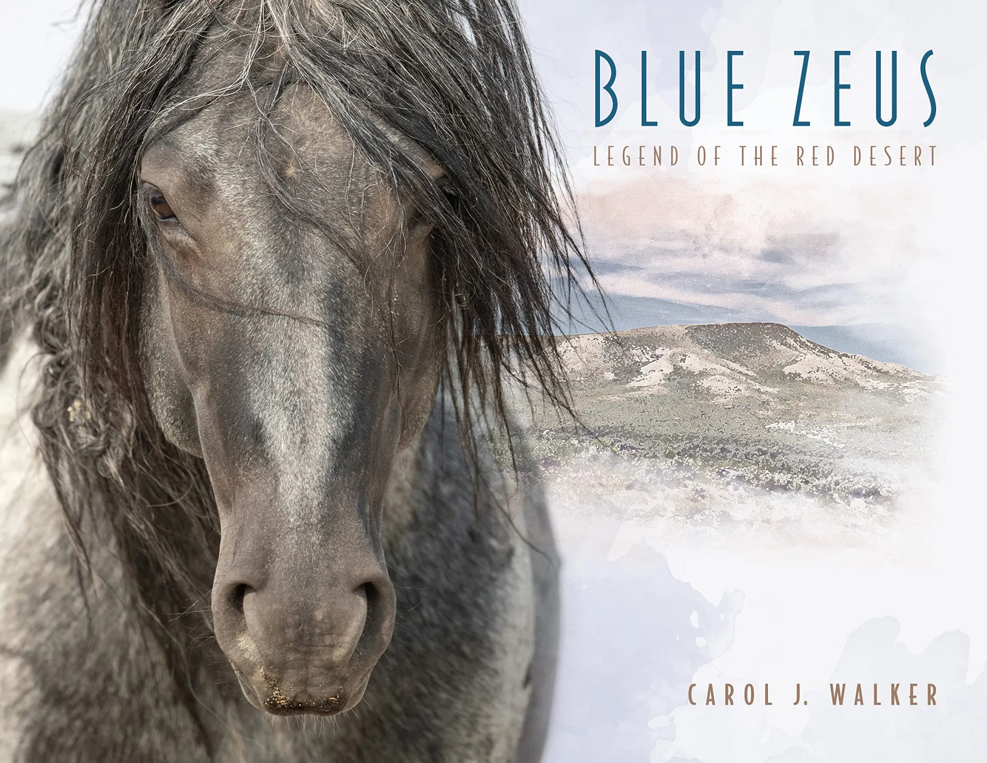 Shop Carol Walker's wild horse print