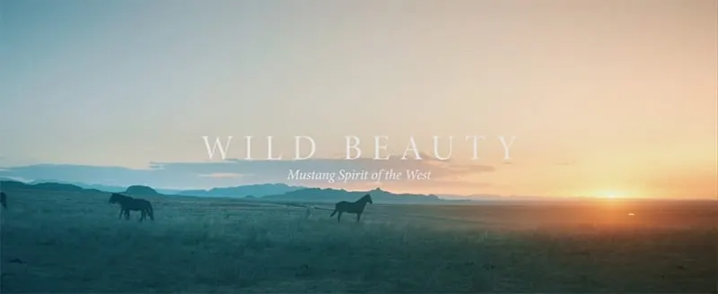 Wild Beauty Screenshot