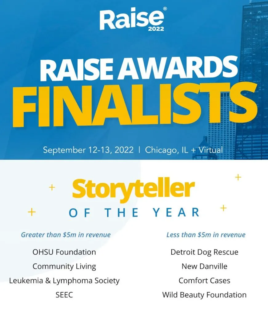 Raise Awards 2022 Finalists Graphic