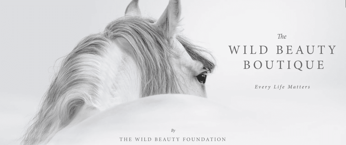 The Wild Beauty Boutique