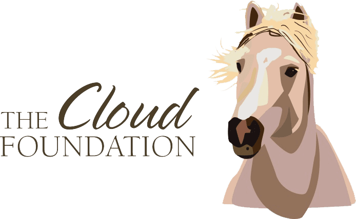 The Cloud Foundation Logo