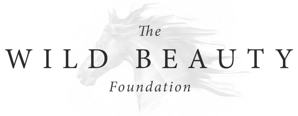 Wild Beauty Foundation